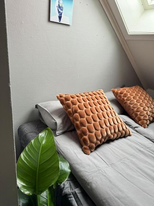 Urban Loftleilighet Тронхейм Экстерьер фото